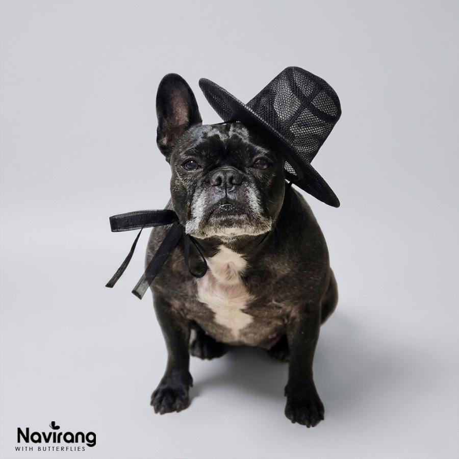 Mini Korean Traditional Hat Gat, Hanbok Photo Prop for Baby and Pet, K-pop Costume Accessory