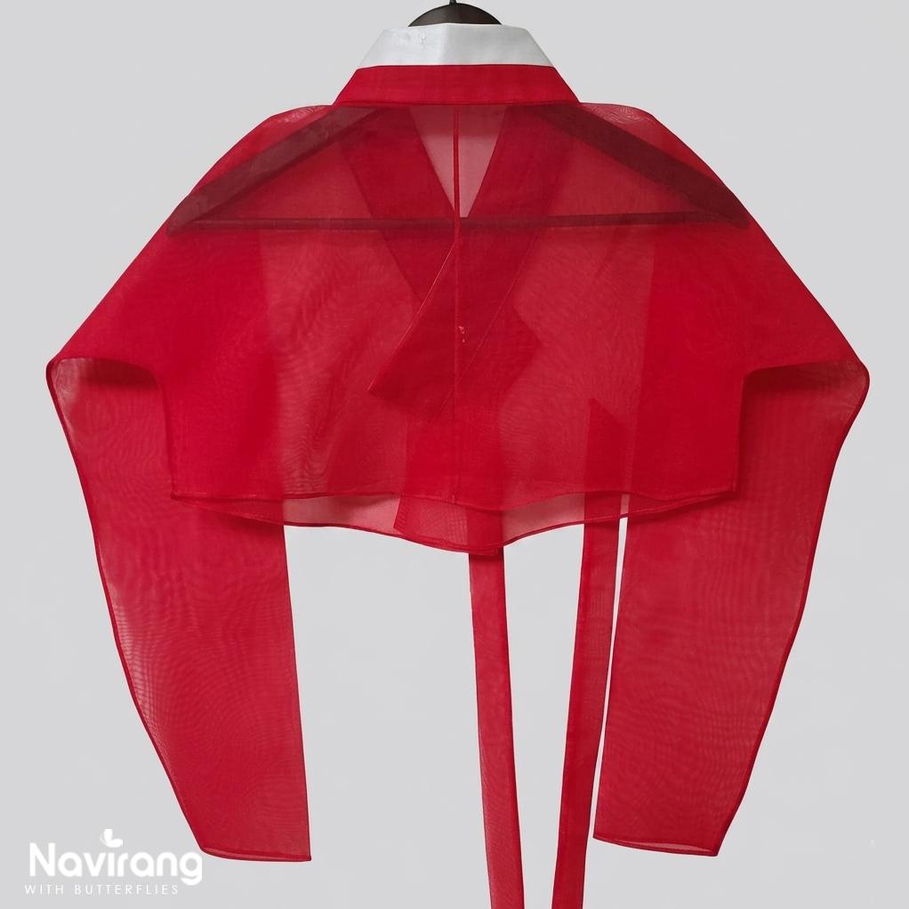Hanbok Jeogori, Short Length Sheer Wrap Jacket, See Through Korean Crop Blouse, Organza Top for Women